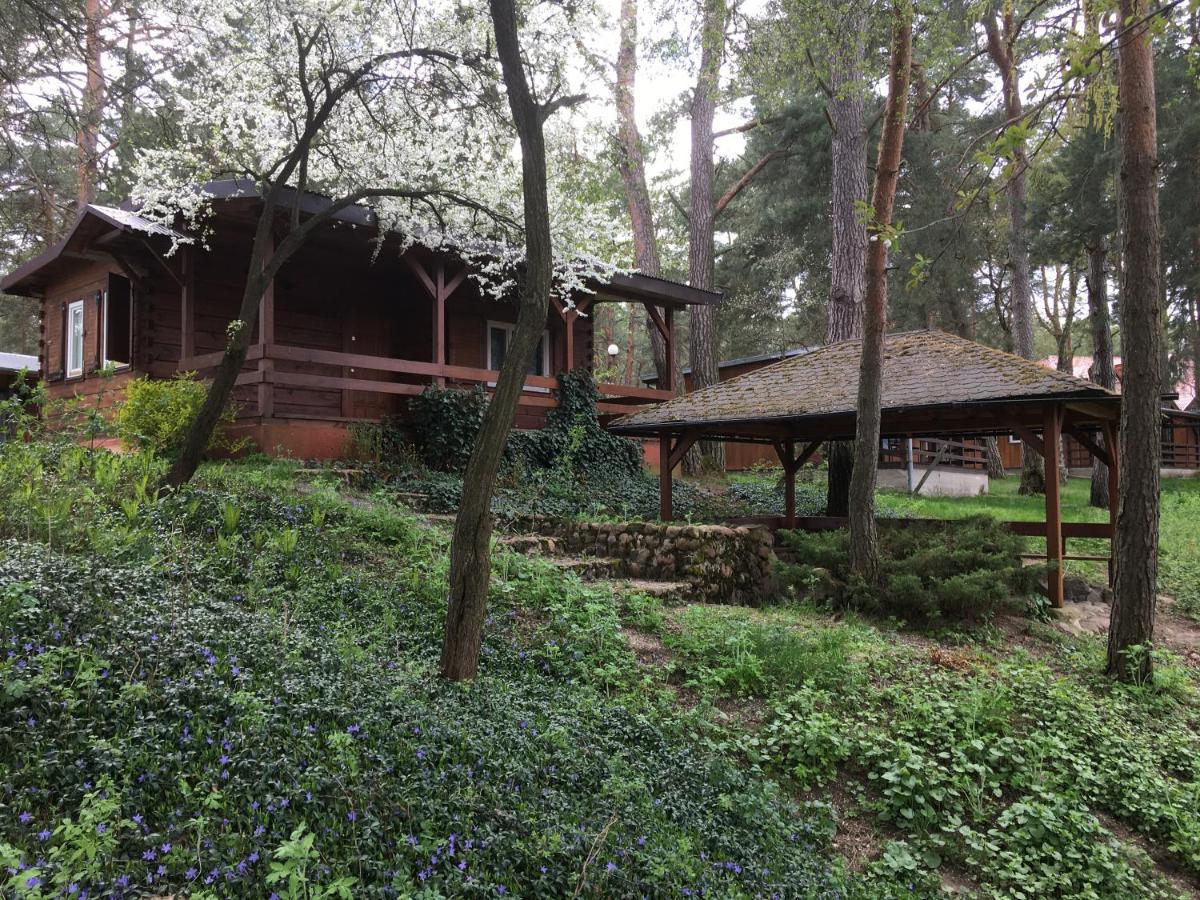 Sosnowy Domek Serpelice 外观 照片